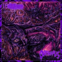 16 Armed Winged Goddess : 16 Armed Winged Goddess - Oozing Pus